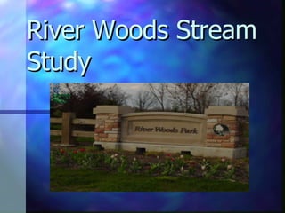 River Woods Stream Study 