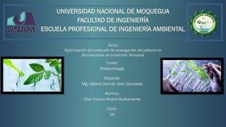 UNIVERSIDAD NACIONAL DE MOQUEGUA
FACULTAD DE INGENIERÍA
ESCUELA PROFESIONAL DE INGENIERÍA AMBIENTAL
Tema:
Optimización del protocolo de propagación del plátano en
Biorreactores de Inmersión Temporal
Curso:
Biotecnología
Docente:
Mg. Hebert Hernan Soto Gonzales
Alumno:
Gian Franco Rivera Bustamante
Ciclo:
VII
 