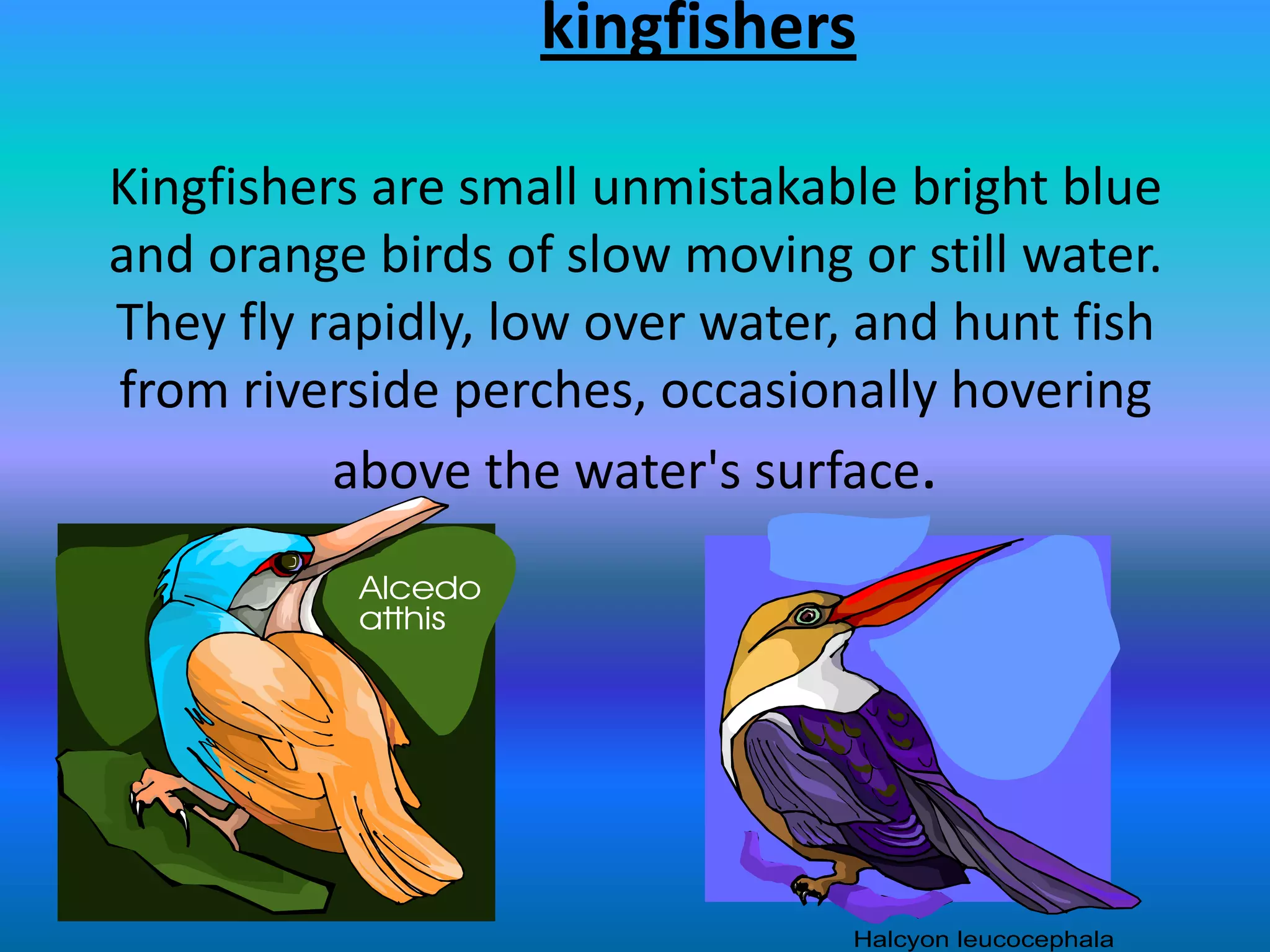 River animals.pptx alarna | PPT