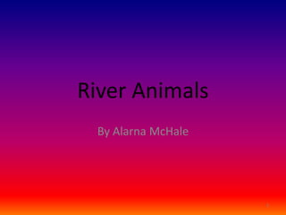 River Animals
 By Alarna McHale




                    1
 