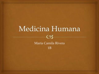 María Camila Rivera
1B
 