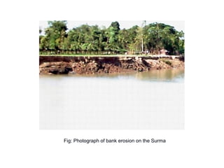 Fig: Photograph of bank erosion on the Surma
 