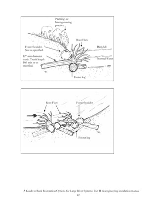 Plantings or
                              bioengineering
                              practice




                                                 Root Flare

  Footer boulder.                                                 Bankfull
  Size as specified.

12” min diameter
trunk. Trunk length                                               Normal Water
10ft min or as
specified.


                                               Footer log




                       Root Flare                Footer boulder




                                                   Footer log




A Guide to Bank Restoration Options for Large River Systems: Part II bioengineering installation manual
                                              42
 