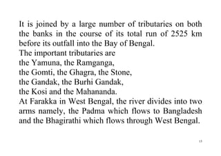 13
It is joined by a large number of tributaries on both
the banks in the course of its total run of 2525 km
before its outfall into the Bay of Bengal.
The important tributaries are
the Yamuna, the Ramganga,
the Gomti, the Ghagra, the Stone,
the Gandak, the Burhi Gandak,
the Kosi and the Mahananda.
At Farakka in West Bengal, the river divides into two
arms namely, the Padma which flows to Bangladesh
and the Bhagirathi which flows through West Bengal.
 