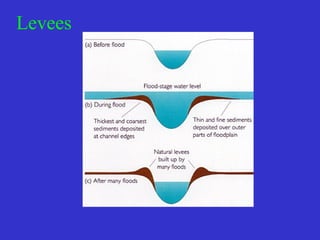 Levee Example River Landforms | PPT