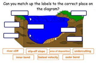 Can you match up the labels to the correct place on the diagram? 
