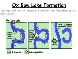 Ox Bow Lake Formation Can you look at the diagram & explain the formation of ox-bow lakes? 