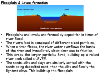 Floodplains and leve é s are formed by deposition in times of river flood.  The river’s load is composed of different sized particles.  When a river floods, t he river water overflows the banks of the river and immediately slows down due to friction. This drops the larger particles first, building up a raised river bank called a LEVEÉ. The sands, silts and clays are similarly sorted with the sands being deposited next, then the silts and finally the lightest clays. This builds up the floodplain. Floodplain & Levee formation 