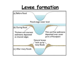 Levee formation 