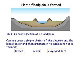 This is a cross section of a floodplain.  Can you draw a simple sketch of the diagram and the labels below and then annotate it to explain how it is formed? How a floodplain is formed leve é s clays and silts sands 