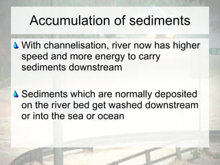 River Channel Management Strategies | PPT