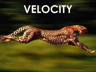 VELOCITY
 
