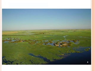 River characteristics.pptx