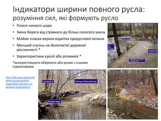 http://feh.iupui.edu/tools/
determining-bankfull-
stage/field-indicators-of-
bankfull-stage/gallery/
Індикатори ширини повного русла:
розуміння сил, які формують русло
• Пласкі наносні шари
• Зміна берега від стрімкого до більш пологого ухилу
• Майже пласка верхня відмітка прируслової мілини
• Менший ступінь не-болотистої деревної
рослинності *
• Характеристики ерозії або розмивів *
*використовувати обережно або разом з іншими
індикаторами
 
