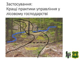 Підхід A- ЗА МЕЖАМИ
БУФЕРНОЇ ЗОНИ
Підхід A –
ВСЕРЕДИНІ
БУФЕРНОЇ ЗОНИ
Структура
переходу
Русло
потоку
Застосування:
Кращі практики управління у
лісовому господарстві
 