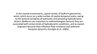 In the coastal environment, a great variety of bedform geometries
exists, which occur on a wide number of spatial-temporal scales, owing
to the textural variability of sediments and prevailing hydrodynamic
drivers. Bedforms are important to sedimentologists because they are
associated with certain kinds of hydrodynamic conditions, and to coastal
engineers because they influence flow resistance and sediment
transport dynamics (Coniglio et al., 2005).
 