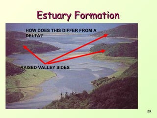 Estuary Formation
HOW DOES THIS DIFFER FROM A
DELTA?

RAISED VALLEY SIDES

29

 