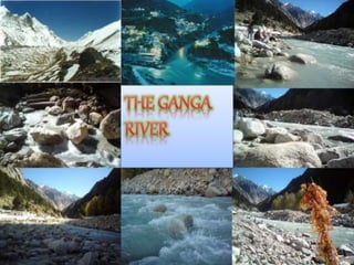 THE GANGA RIVER
 
