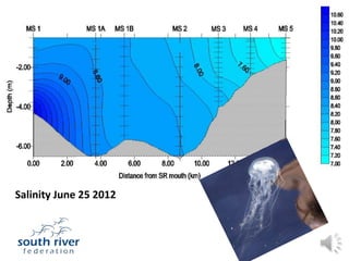 Salinity June 25 2012
 Salinity June 25 2012
 