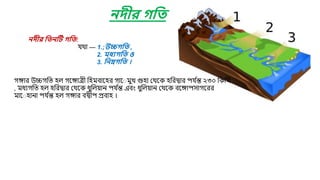 নদীর বতনটে গবত:
েথা — 1.;উচ্চগবত ,
2. মধযগবত ও
3. বনম্নগবত ।
নদীর গবত
গোর উচ্চগমত িল গরোেী মিিবারির গার িুখ গুিা যথরক িমরদ্বার পে ব
ন্ত ২৩০ মকমি
, িধযগমত িল িমরদ্বার যথরক ধুমল়োন পে ব
ন্ত এবং ধুমল়োন যথরক বরোপসাগররর
িার িানা পে ব
ন্ত িল গোর বদ্বীপ প্রবাি ।
 