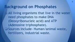 Background on Phosphates
❏ All living organisms that live in the water
need phosphates to make DNA
(Deoxyribonucleic acid) and ATP
(Adenosine triphosphate).
❏ Sources include- Human/animal waste,
fertilizers, industrial waste.
C
 