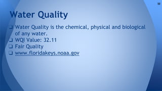 Water Quality
❏ Water Quality is the chemical, physical and biological
of any water.
❏ WQI Value: 32.11
❏ Fair Quality
❏ www.floridakeys.noaa.gov
M
 