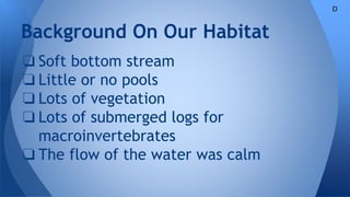 ❏ Soft bottom stream
❏ Little or no pools
❏ Lots of vegetation
❏ Lots of submerged logs for
macroinvertebrates
❏ The flow of the water was calm
Background On Our Habitat
D
 