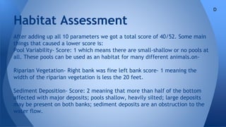 After adding up all 10 parameters we got a total score of 40/52. Some main
things that caused a lower score is:
Pool Variability- Score: 1 which means there are small-shallow or no pools at
all. These pools can be used as an habitat for many different animals.on-
Riparian Vegetation- Right bank was fine left bank score- 1 meaning the
width of the riparian vegetation is less the 20 feet.
Sediment Deposition- Score: 2 meaning that more than half of the bottom
affected with major deposits; pools shallow, heavily silted; large deposits
may be present on both banks; sediment deposits are an obstruction to the
water flow.
Habitat Assessment
D
 