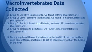 Macroinvertebrates Data
Collected
❏ Group 1: Sensitive to pollutants, we found nothing (Multiplier of 4)
❏ Group 2: Semi - sensitive to pollutants, we found 11 macroinvertebrates
(Multiplier of 3)
❏ Group 3: Semi - tolerant to pollutants, we found 17 macroinvertebrates
(Multiplier of 2)
❏ Group 4: Tolerant to pollutants, we found 12 macroinvertebrates
(Multiplier of 1)
❏ Each group has different importance to the health of the river so they
each have different multipliers to get an index score to show the health
of the river
C
 