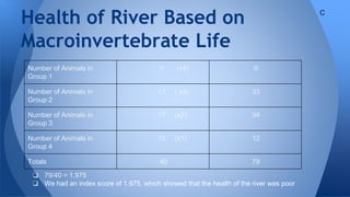 Health of River Based on
Macroinvertebrate Life
Number of Animals in
Group 1
0 (x4) 0
Number of Animals in
Group 2
11 ( x3) 33
Number of Animals in
Group 3
17 (x2) 34
Number of Animals in
Group 4
12 (x1) 12
Totals 40 79
❏ 79/40 = 1.975
❏ We had an index score of 1.975, which showed that the health of the river was poor
C
 
