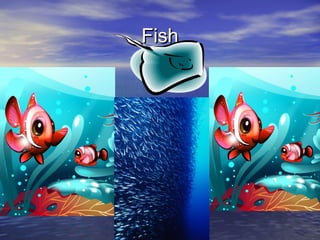 Fish
 