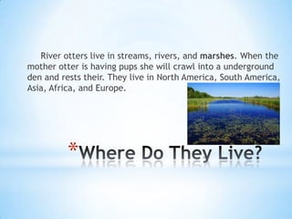 River otters live in streams, rivers, and marshes. When the
mother otter is having pups she will crawl into a underground
den and rests their. They live in North America, South America,
Asia, Africa, and Europe.




          *
 
