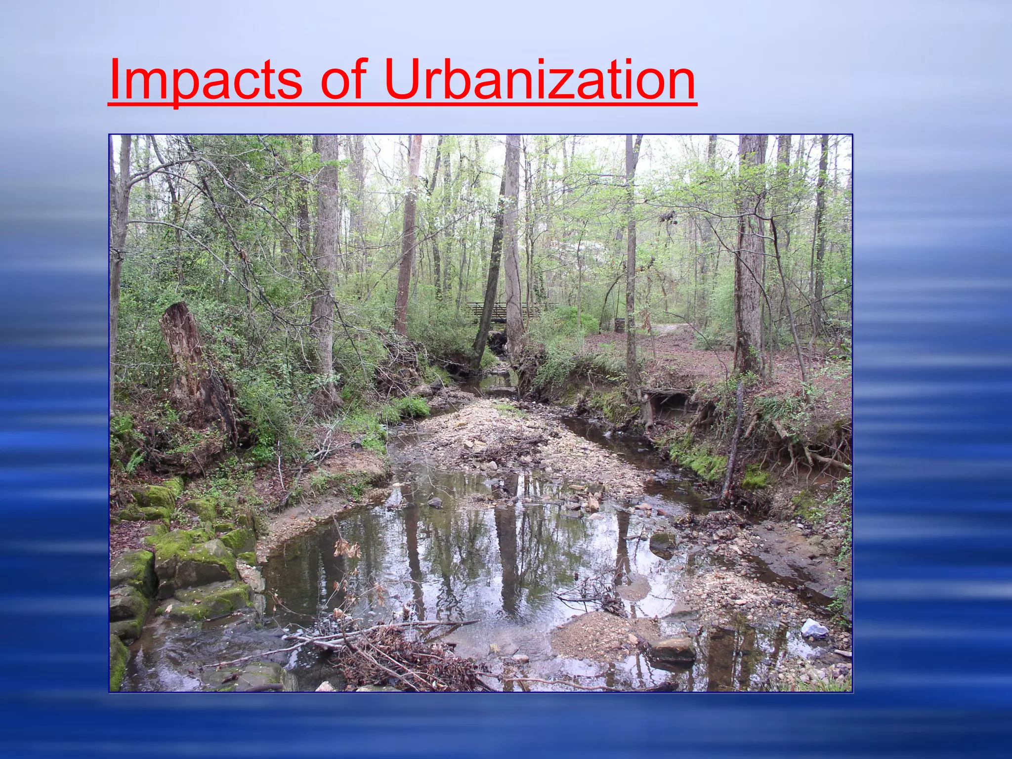 Impacts of Urbanization
 