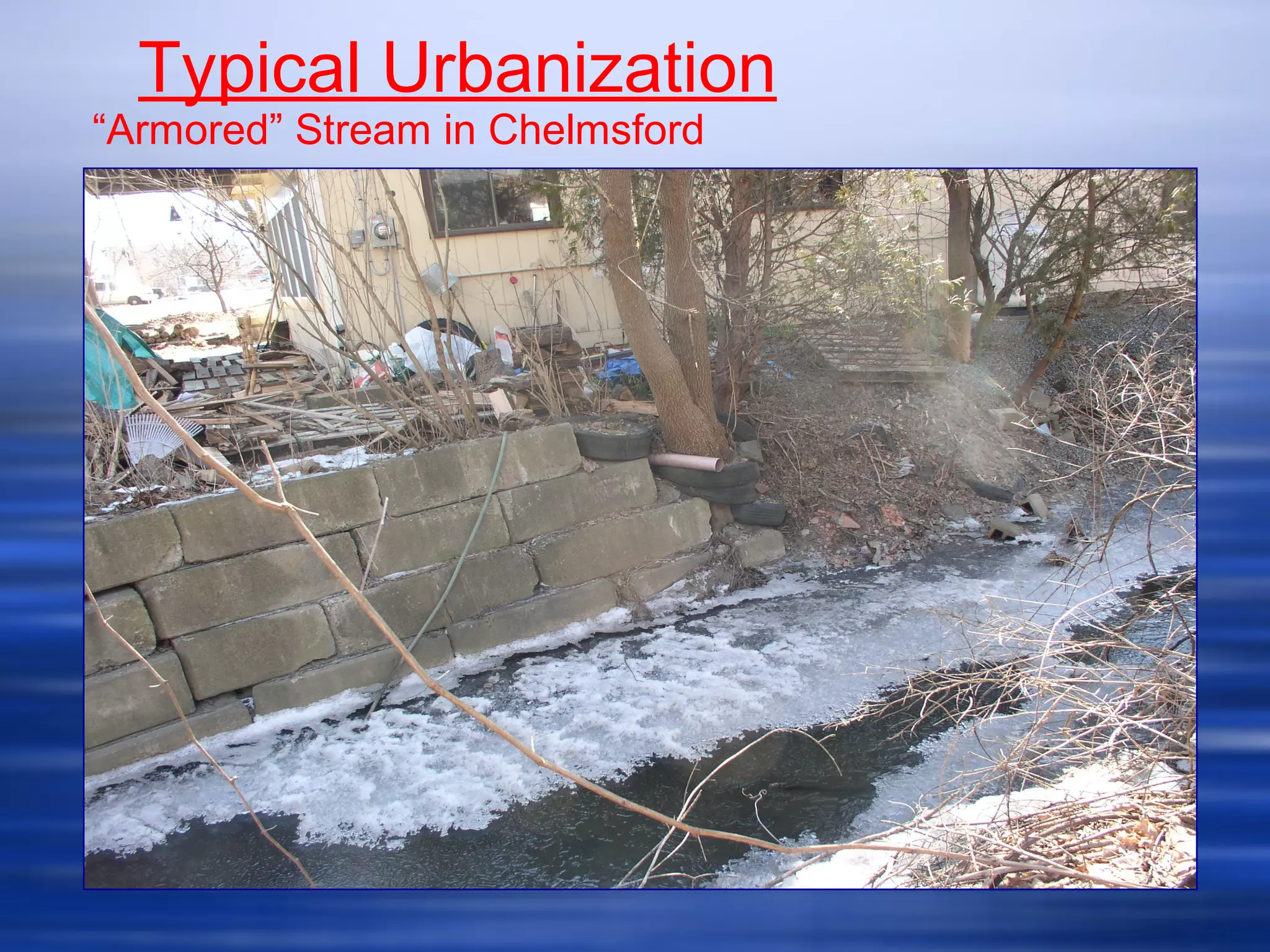 Typical Urbanization
“Armored” Stream in Chelmsford
 