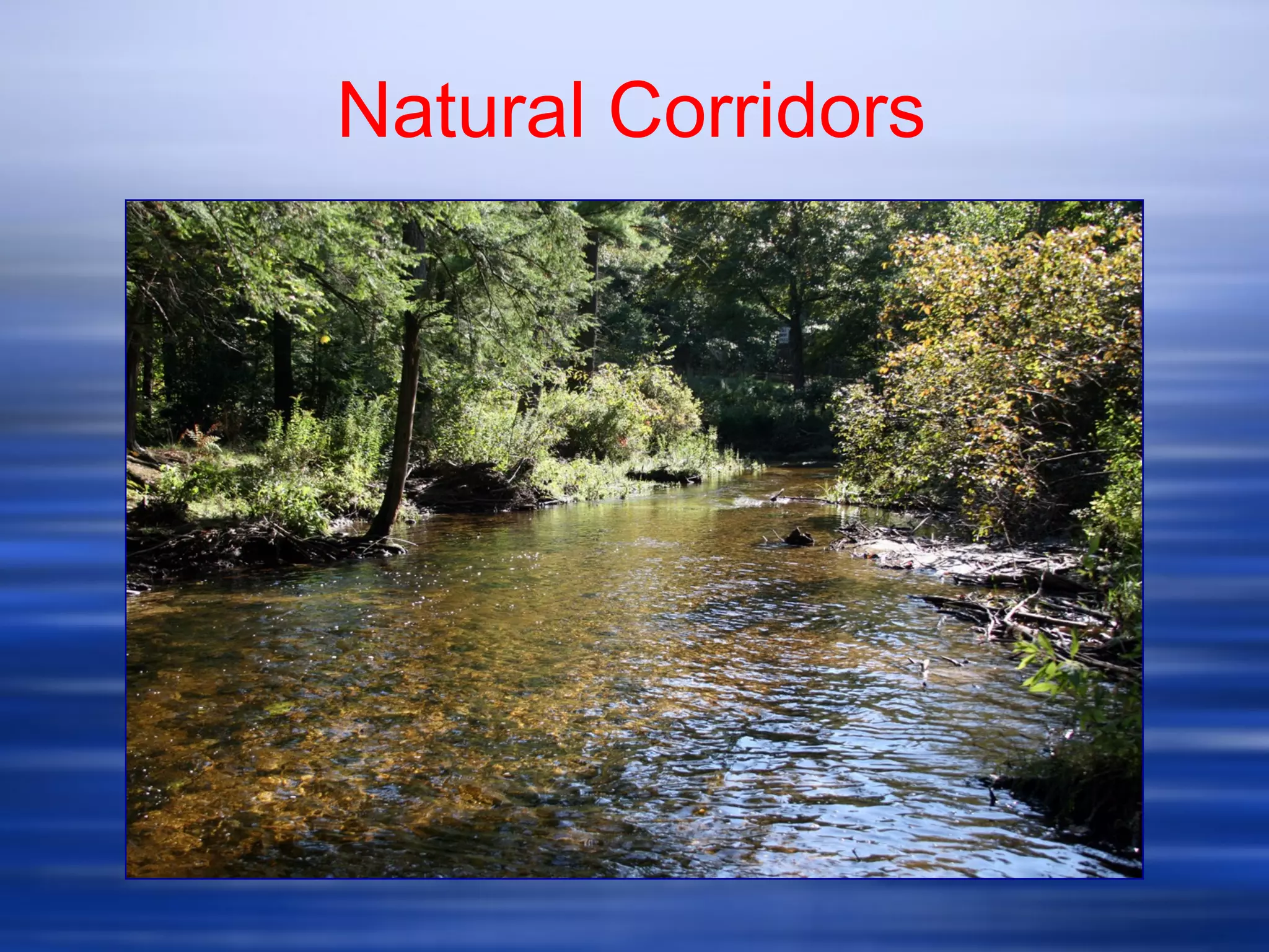 Natural Corridors
 