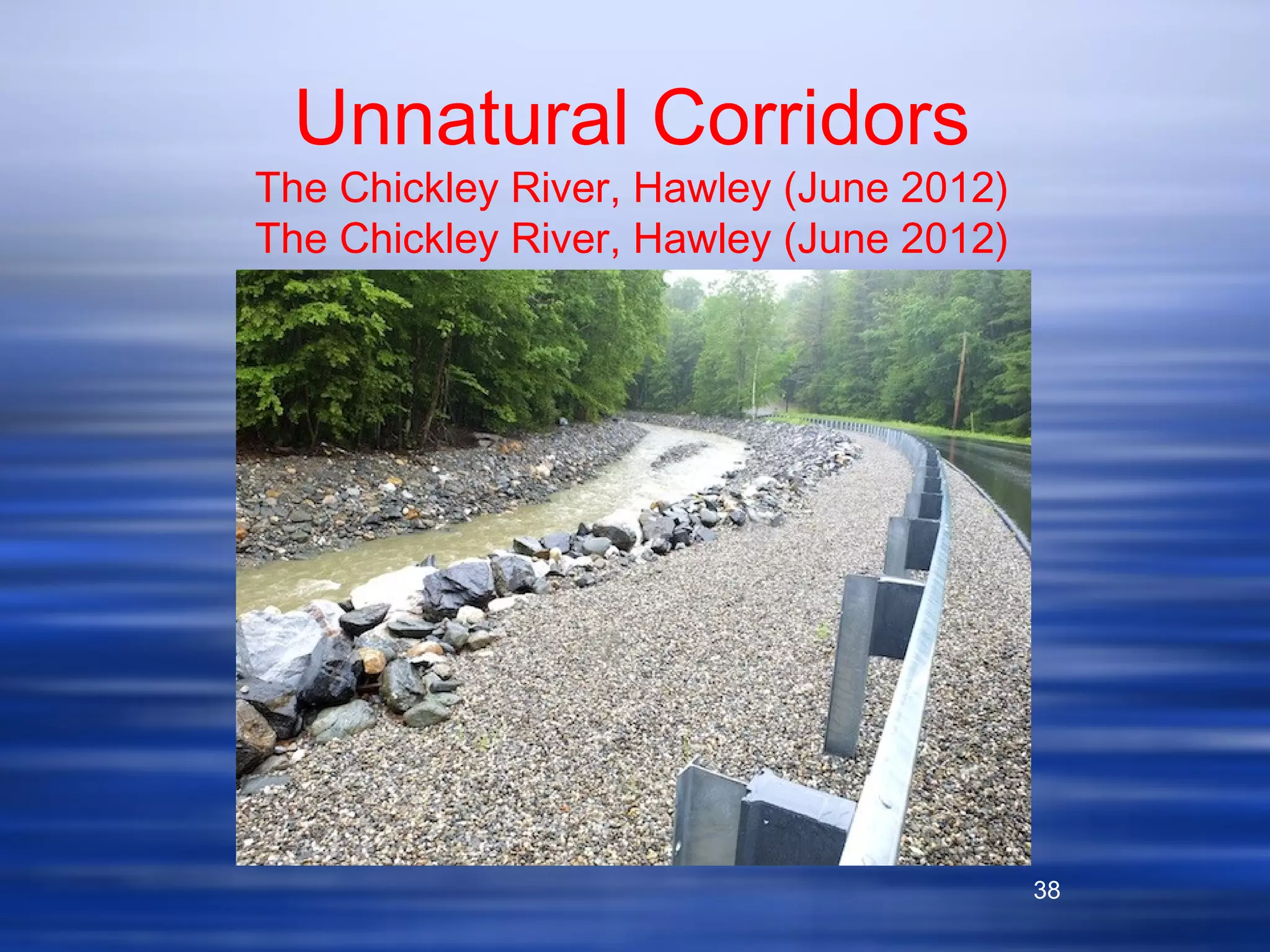 38
Unnatural Corridors
The Chickley River, Hawley (June 2012)
The Chickley River, Hawley (June 2012)
 