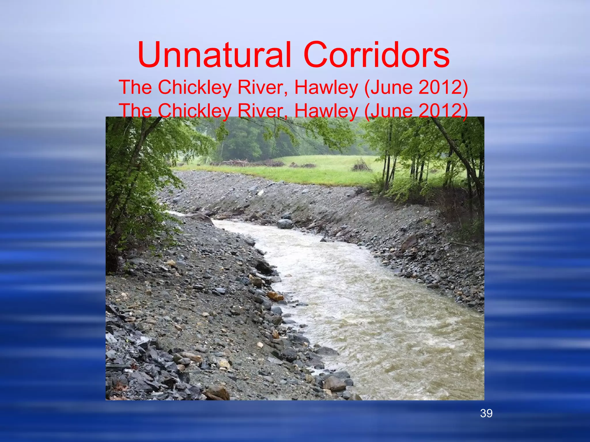 39
Unnatural Corridors
The Chickley River, Hawley (June 2012)
The Chickley River, Hawley (June 2012)
 