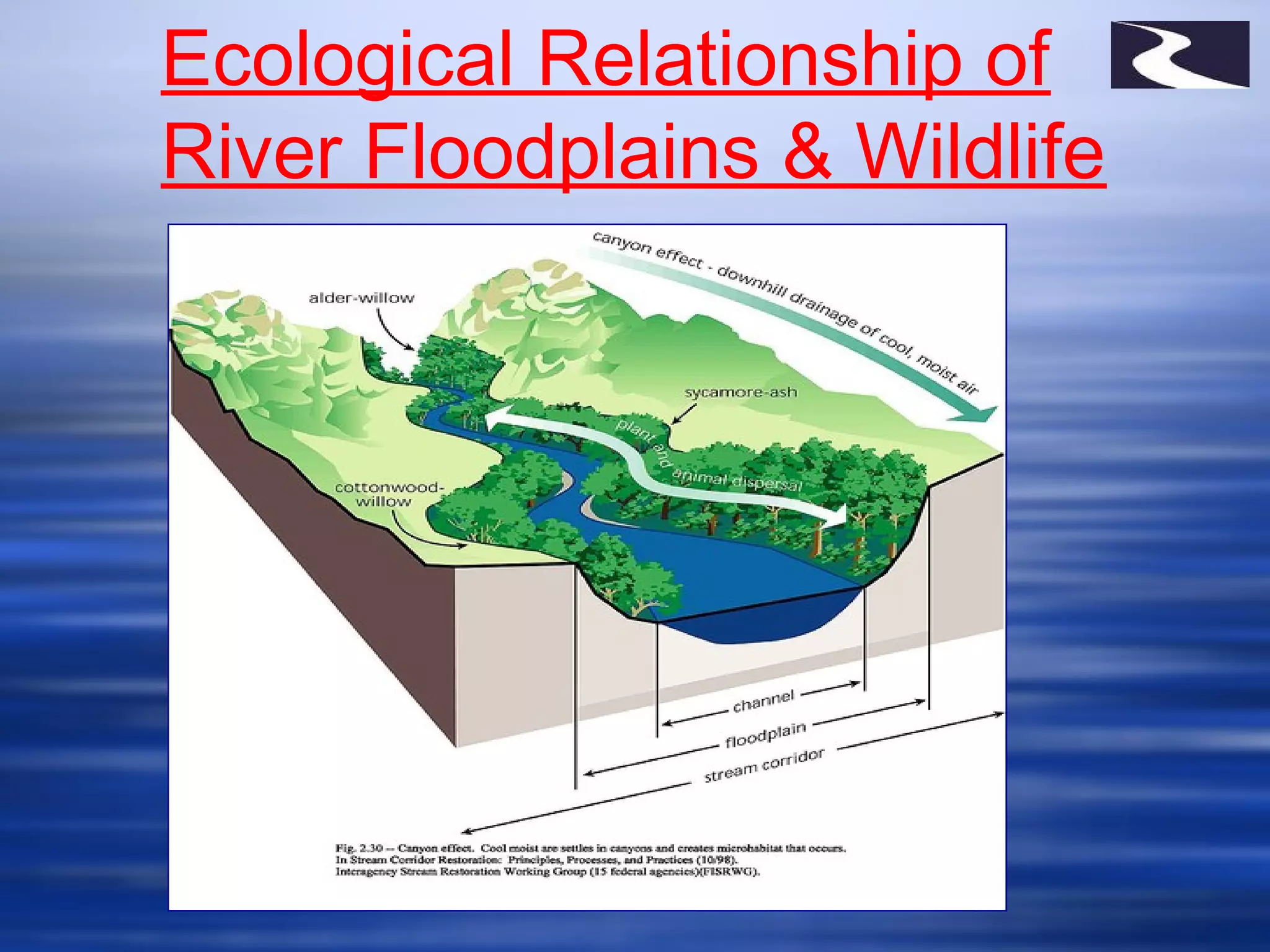 Ecological Relationship of
River Floodplains & Wildlife
 