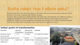 Budha nallah: How it affects satluj?
Budha Nullah flows into Satluj at Ludhiana, the total coliform concentration just upstream of the
junction in the river is 500 per 100 millilitre of water
However, after confluence of Budda Nullah with Satluj, the concentration of T coliform reaches a
staggering 65,000 per 100 ML of water. Here the fecal coliform concentration also reaches
40,000 per 100 ML. Sources revealed that the high concentration of F coliform could be harmful
even for the food chain if that water were to be used for irrigation of crops.
 