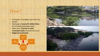 How?
Cooum
Pollution
Illegal
Encroachment
Government
bodies
Industries
• Formation of sandbars near the river
mouth
• Discharge of nearly 55 million litres
of untreated sewerage waste
• More than 7 tonnes of solid
municipal waste dumped into rivers
• Illegal encroachment
 