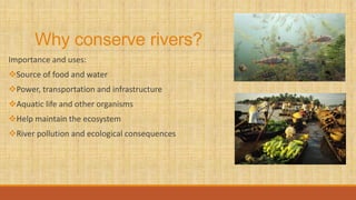 Why conserve rivers?
Importance and uses:
Source of food and water
Power, transportation and infrastructure
Aquatic life and other organisms
Help maintain the ecosystem
River pollution and ecological consequences
 