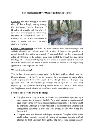 Sorf Engineering Rivers Soft engineering case study:River quaggy | DOCX
