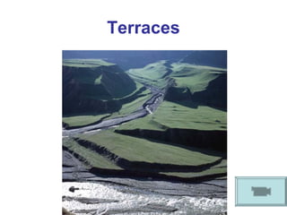 Terraces 
 