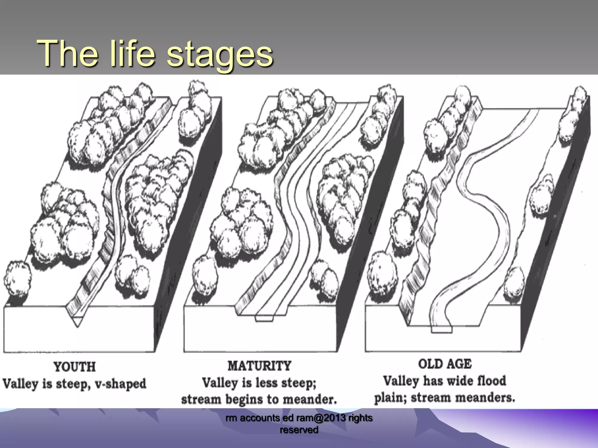 The life stages

rm accounts ed ram@2013 rights
reserved

 