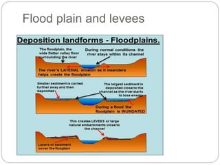 Flood plain and levees