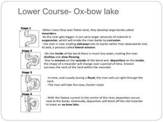 Lower Course- Ox-bow lake