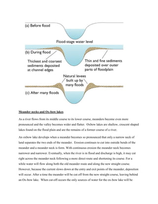 Meander necks and Ox-bow lakes
As a river flows from its middle course to its lower course, meanders become even more
pronounced and the valley becomes wider and flatter. Oxbow lakes are shallow, crescent shaped
lakes found on the flood plain and are the remains of a former course of a river.
An oxbow lake develops when a meander becomes so pronounced that only a narrow neck of
land separates the two ends of the meander. Erosion continues to cut into outside bends of the
meander and a meander neck is form. With continuous erosion the meander neck becomes
narrower and narrower. Eventually, when the river is in flood and discharge is high, it may cut
right across the meander neck following a more direct route and shortening its course. For a
while water will flow along both the old meander route and along the new straight course.
However, because the current slows down at the entry and exit points of the meander, deposition
will occur. After a time the meander will be cut off from the new straight course, leaving behind
an Ox-bow lake. When cut-off occurs the only sources of water for the ox-bow lake will be
 