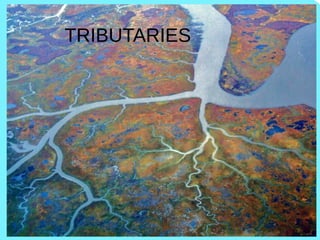 TRIBUTARIES