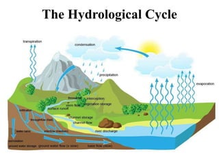 The Hydrological Cycle
 