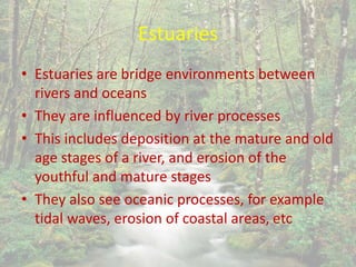 Estuaries
• Estuaries are bridge environments between
rivers and oceans
• They are influenced by river processes
• This includes deposition at the mature and old
age stages of a river, and erosion of the
youthful and mature stages
• They also see oceanic processes, for example
tidal waves, erosion of coastal areas, etc
 